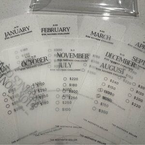 NWT monthly savings challenges cash envelopes